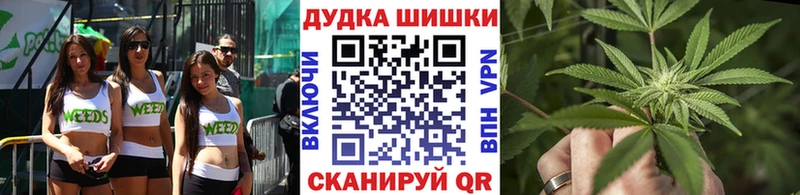 Купить где  Славянск-на-Кубани  Шишки марихуана планчик 
